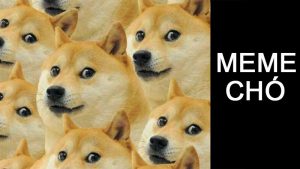 Tổng hợp 80+ meme Chó cầm súng, khóc, hài hước, bựa, đáng yêu, tức giậnTổng hợp 80+ meme Chó cầm súng, khóc, hài hước, bựa, đáng yêu, tức giận