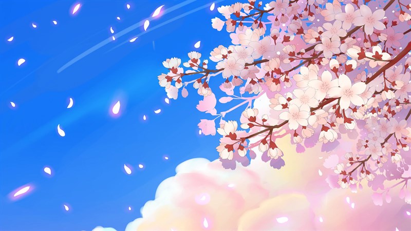 Ảnh nền hoa anh đào trong anime - 1 (Kích thước: 1920 x 1080) Ảnh nền hoa anh đào trong anime - 1 (Kích thước: 1920 x 1080)
