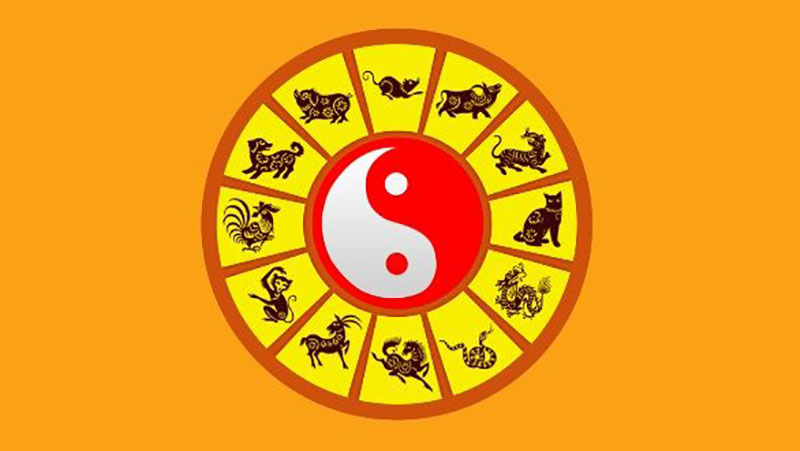 11-8-la-ngay-gi-thuoc-cung-hoang-dao-gi-co-su-kien-noi-bat-6-800x451-1 Xem hợp - xung ngày 11/8/2021
