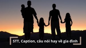 Stt, câu nói hay về gia đình