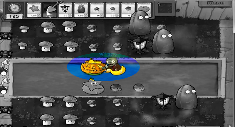 19-800x433-1 Giới thiệu cây Pumpkin