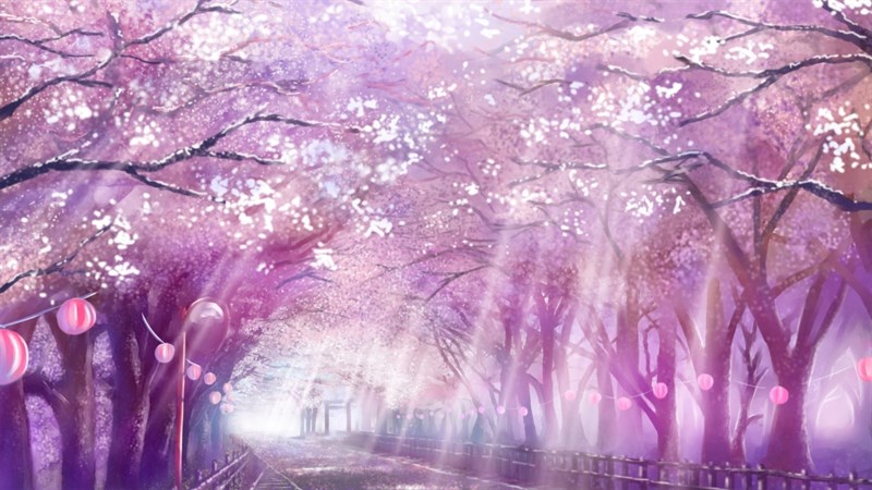 Ảnh nền hoa anh đào trong anime - 13 (Kích thước: 1920 x 1080) Ảnh nền hoa anh đào trong anime - 13 (Kích thước: 1920 x 1080)
