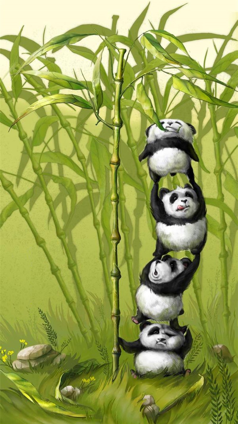 Ảnh gấu trúc panda - 7 (Kích thước: 1080 x 1920) Ảnh gấu trúc panda - 7 (Kích thước: 1080 x 1920)