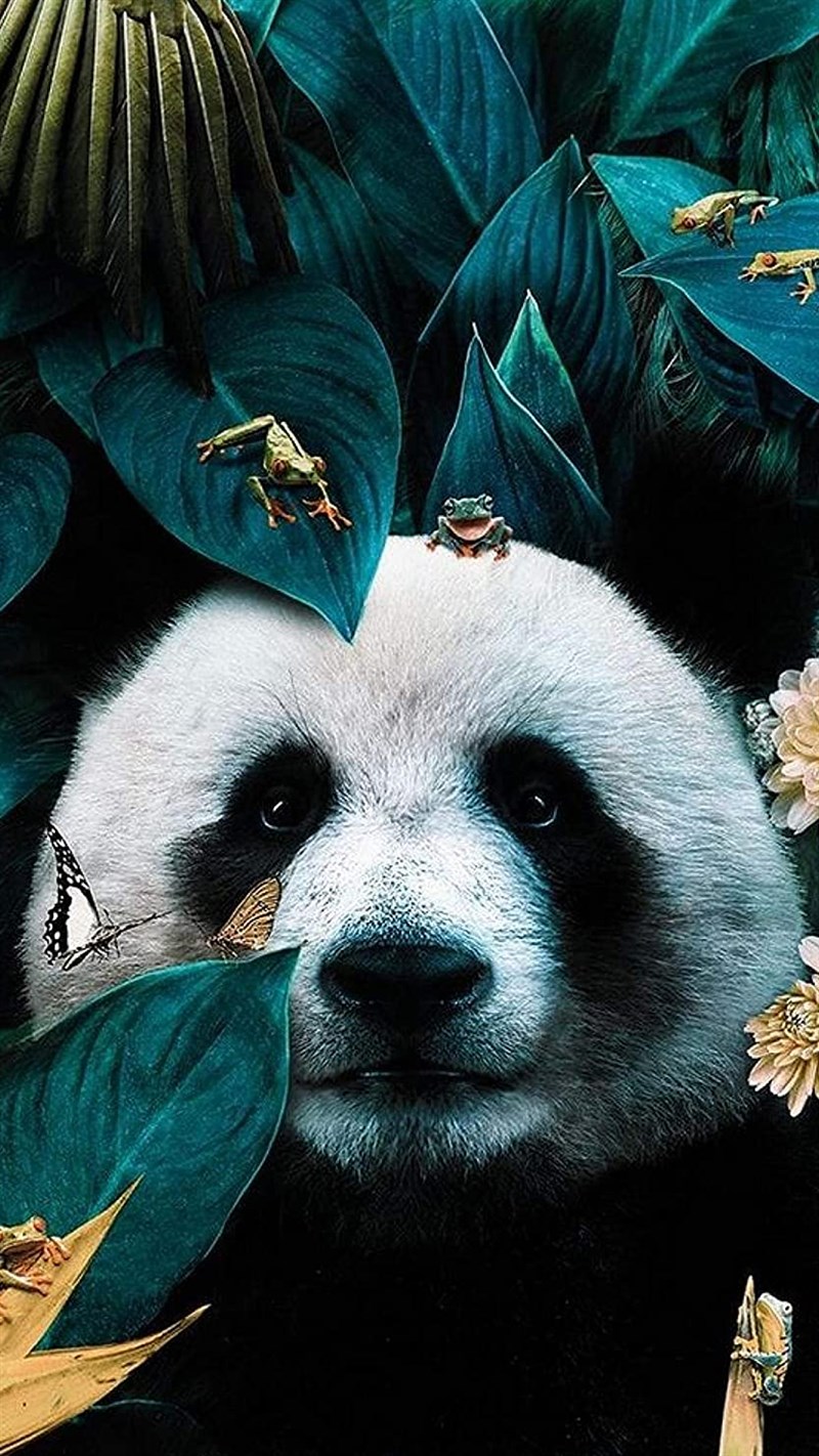 Ảnh gấu trúc panda - 14 (Kích thước: 1080 x 1920) Ảnh gấu trúc panda - 14 (Kích thước: 1080 x 1920)