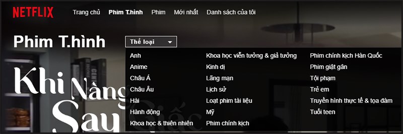 5-800x267-1 Phim hay trên Netflix