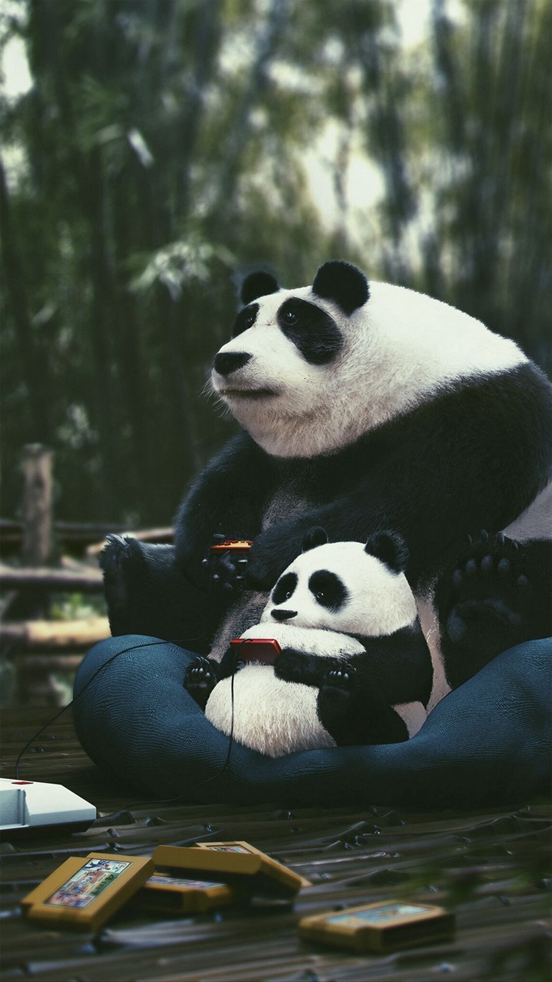 Ảnh gấu trúc panda - 1 (Kích thước: 1080 x 1920) Ảnh gấu trúc panda - 1 (Kích thước: 1080 x 1920)