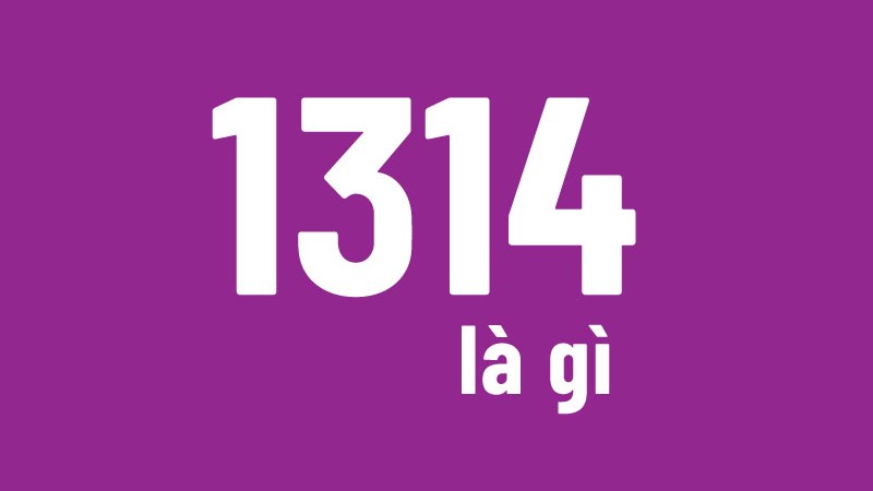 1314 là gì? 1314 là gì?