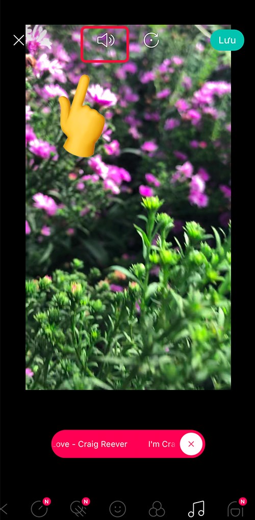 6-500x1020-1