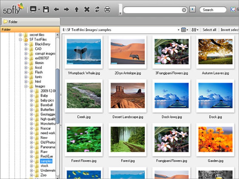Fly Free Photo Editing & Viewer Fly Free Photo Editing & Viewer