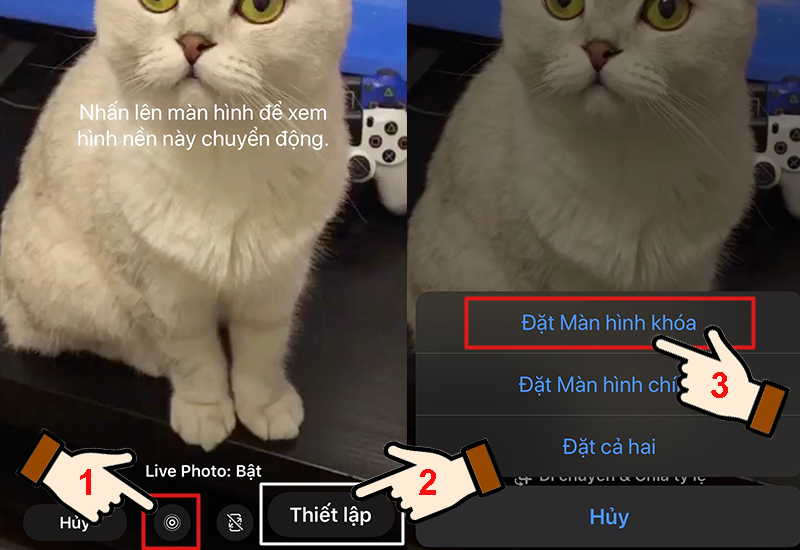 7-800x550-4 Bật tab Live Photo và thiết lập hình nền