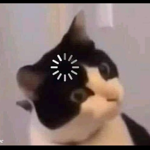 Meme mèo ngơ, khó hiểu 6 Meme mèo ngơ, khó hiểu 6