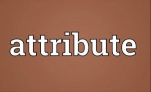 Attribute là gì?
