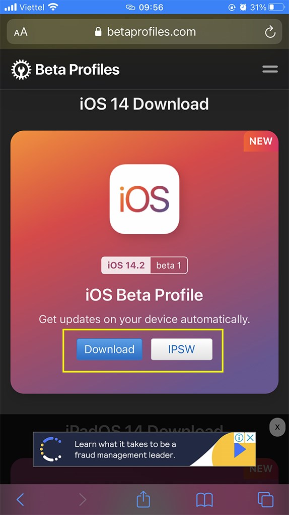 b1-574x1020-1 Chọn phiên bản iOS 14 Beta mới nhất