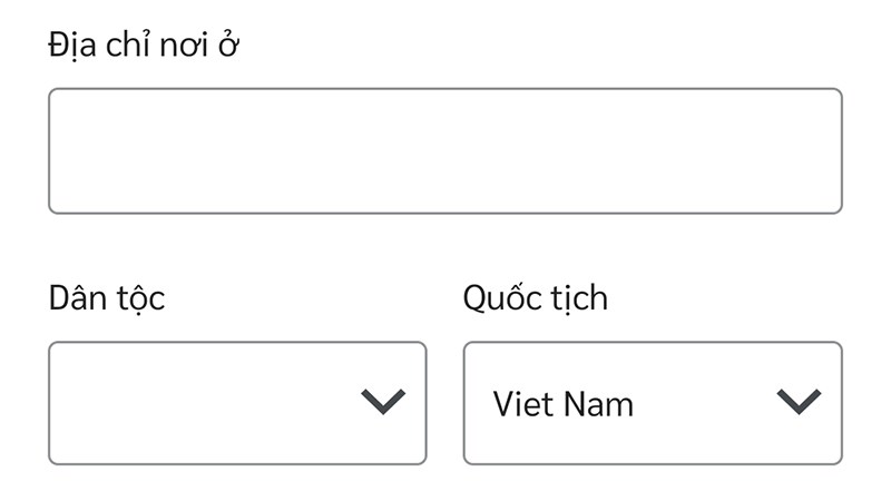 Điền chính xác địa chỉ nơi ở hiện tại, dân tộc, quốc tịch Điền chính xác địa chỉ nơi ở hiện tại, dân tộc, quốc tịch