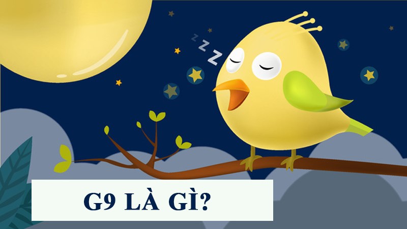 G9 là gì? Nguồn gốc, ý nghĩa và cách dùng từ G9 G9 là gì? Nguồn gốc, ý nghĩa và cách dùng từ G9