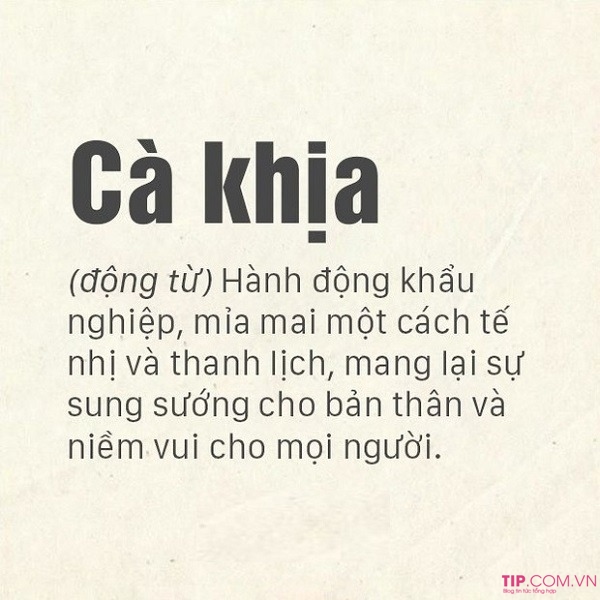 Khái niệm về cà khịa