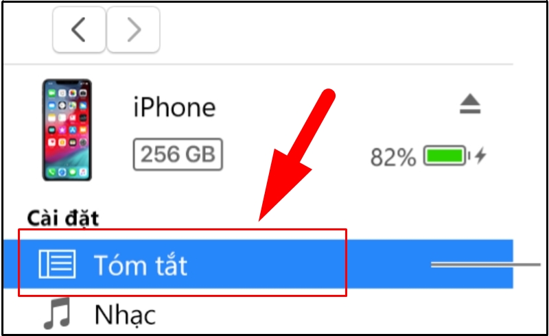 Chọn Tóm tắt trên iTunes