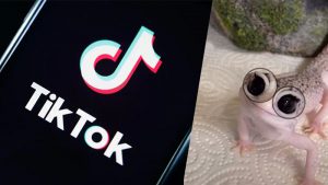 Quay video filter đôi mắt to trên Tiktok
