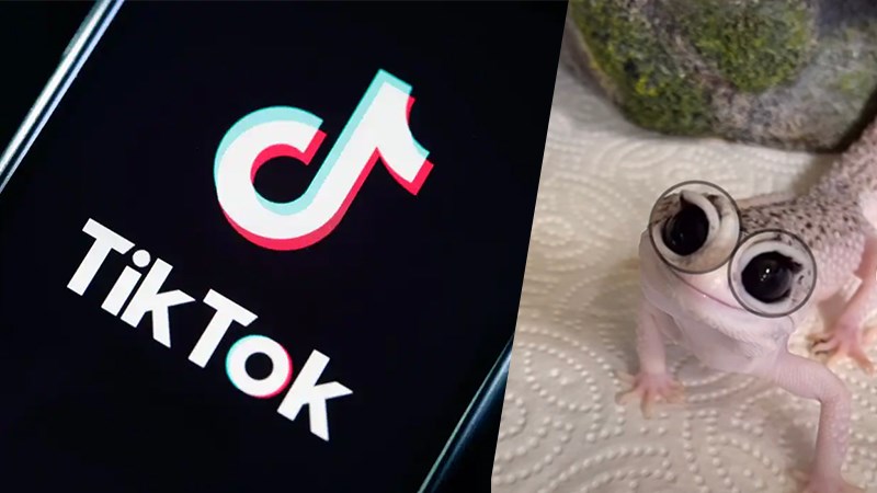 Quay video filter đôi mắt to trên Tiktok Quay video filter đôi mắt to trên Tiktok