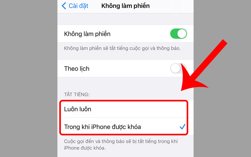 Chọn mục tùy ý của bạn ở phần tắt tiếng