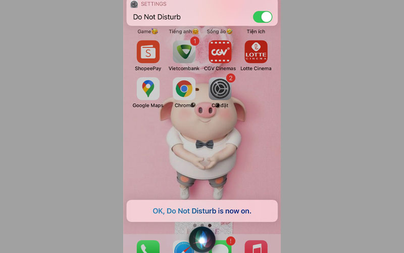 Nói câu lệnh "Turn on Do Not Disturb"