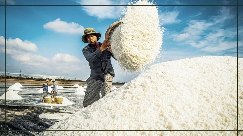 Cánh đồng muối Bạc Liêu Cánh đồng muối Bạc Liêu