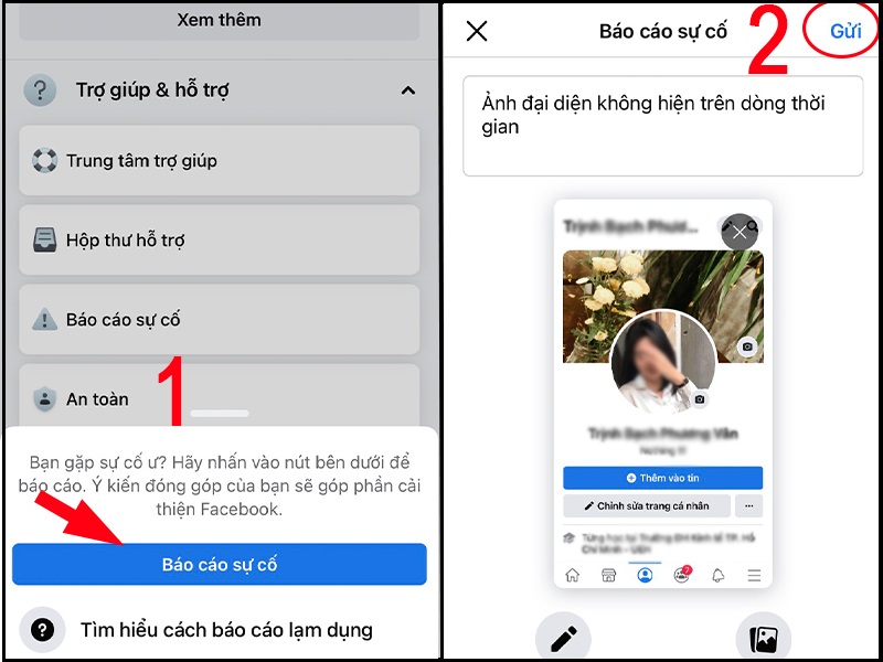 Bạn nhập lỗi đang gặp phải để phản hồi với facebook