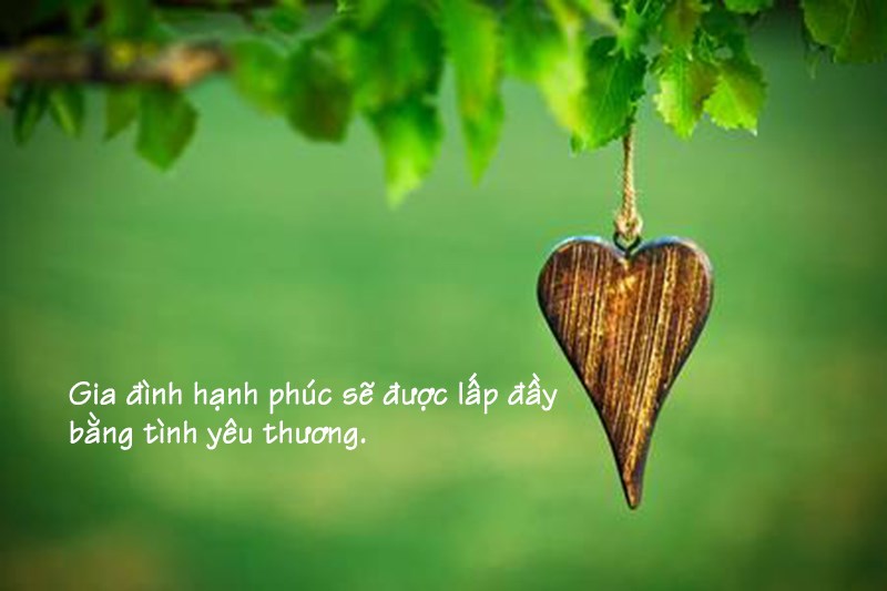Hạnh phúc gia đình Hạnh phúc gia đình