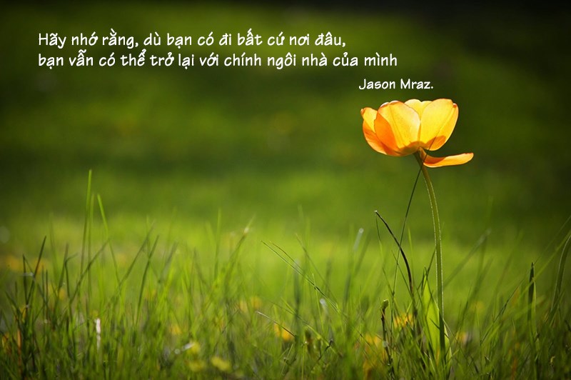 Nhà là nơi để trở về Nhà là nơi để trở về