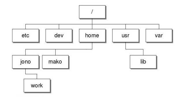 cay-thu-muc-cua-linux