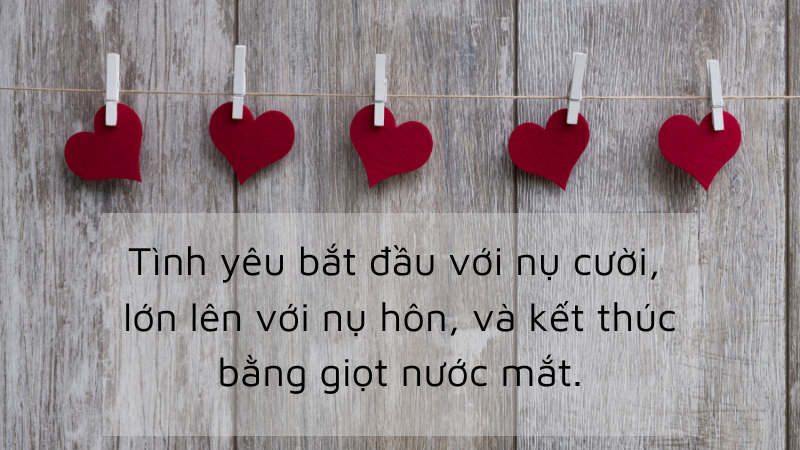 Tình yêu bắt đầu với nụ cười, lớn lên với nụ hôn, và kết thúc bằng giọt nước mắt. Tình yêu bắt đầu với nụ cười, lớn lên với nụ hôn, và kết thúc bằng giọt nước mắt.