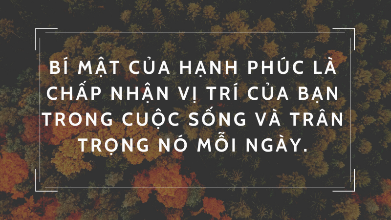 Bí mật của hạnh phúc là chấp nhận vị trí của bạn trong cuộc sống và trân trọng nó mỗi ngày. Bí mật của hạnh phúc là chấp nhận vị trí của bạn trong cuộc sống và trân trọng nó mỗi ngày.