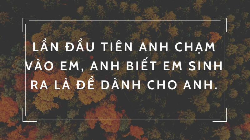 Lần đầu tiên anh chạm vào em, anh biết em sinh ra là để dành cho anh. Lần đầu tiên anh chạm vào em, anh biết em sinh ra là để dành cho anh.