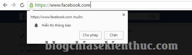 chan-thong-bao-day-tren-trinh-duyet-web