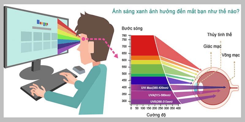 Ánh sáng trong tự nhiên