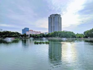 Khu vực hồ nước tại công viên Nghĩa Đô