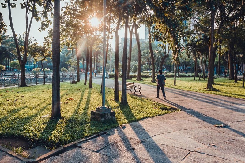 Công viên 23/9 trong ánh nắng vàng rực Công viên 23/9 trong ánh nắng vàng rực