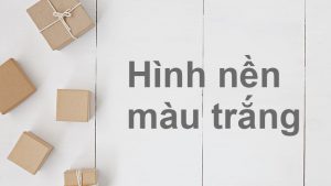 100+ Hình nền, background trắng đẹp full HD cho máy tính, điện thoại