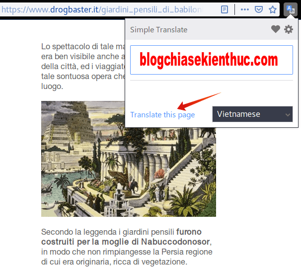 dich-van-ban-tren-firefox-voi-Simple-Translate (14)