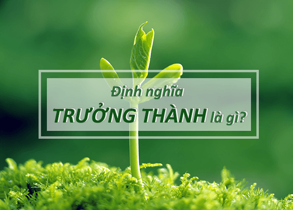 dinh-nghia-truong-thanh-la-gi-1-1 Định nghĩa trưởng thành là gì? Làm thế nào để trưởng thành?