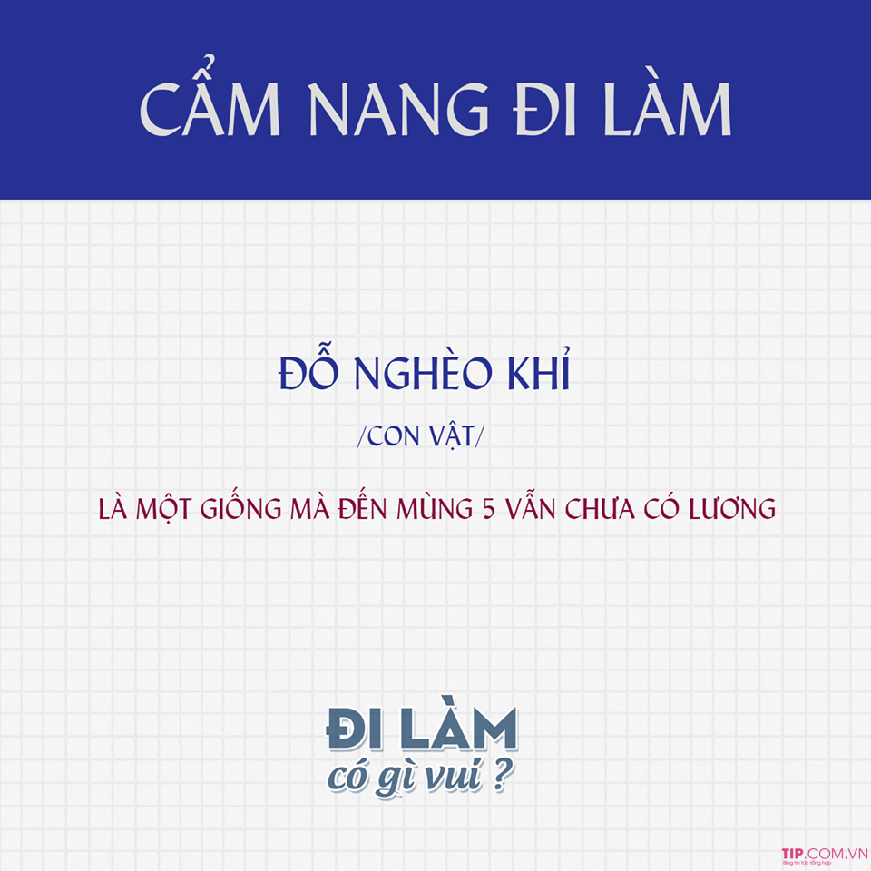 Đổ nghèo khỉ là gì? Trào lưu con nhà nghèo " ĐỔ NGHÈO KHỈ " trên Facebook