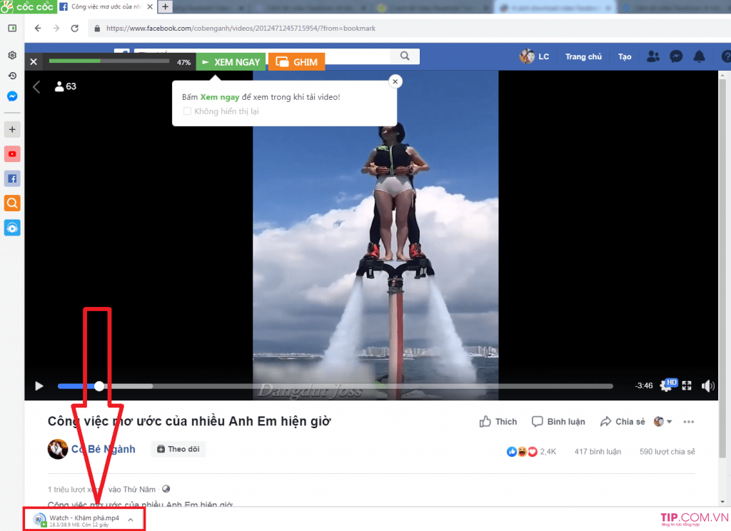 Download Video Facebook từ Cốc Cốc
