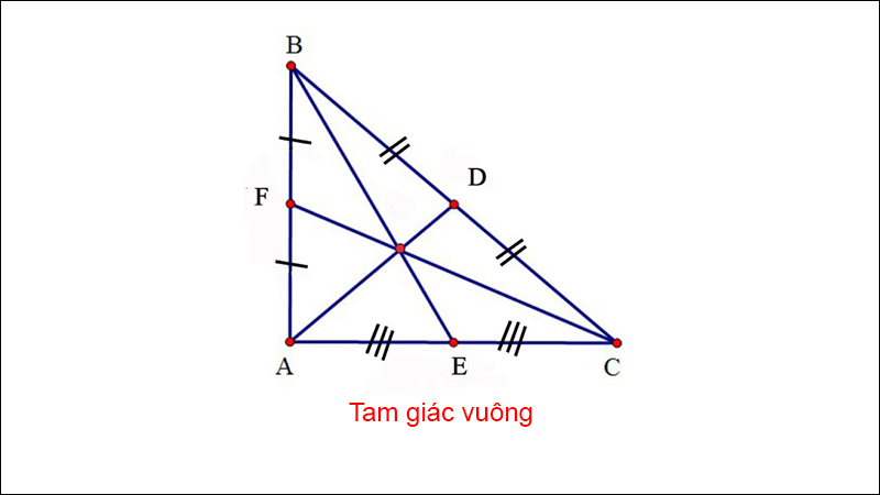 duong-trung-tuyen-la-gi-dinh-nghia-tinh-chat-va-cong-thuc-6-800x450-1 Đường trung tuyến trong tam giác vuông