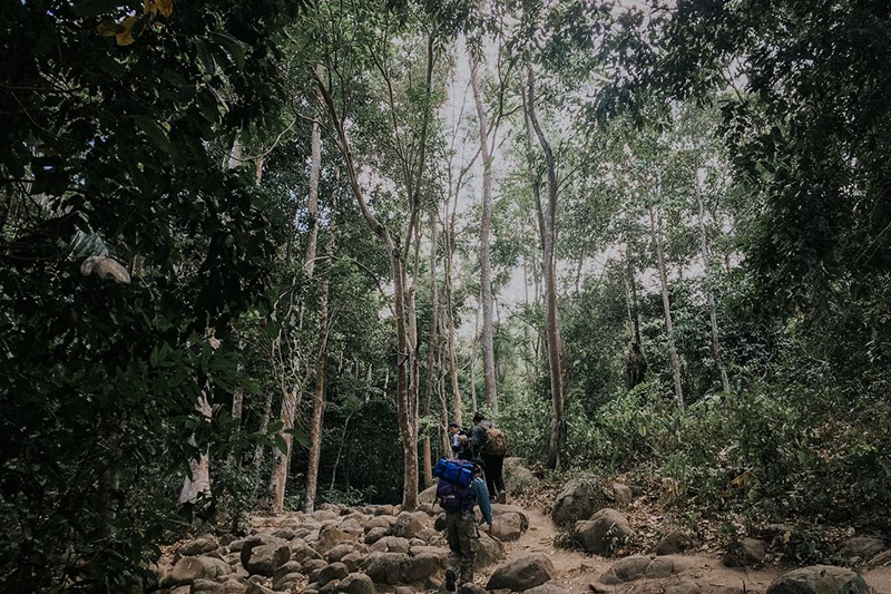 Con đường trekking yêu thích của nhiều bạn trẻ Con đường trekking yêu thích của nhiều bạn trẻ