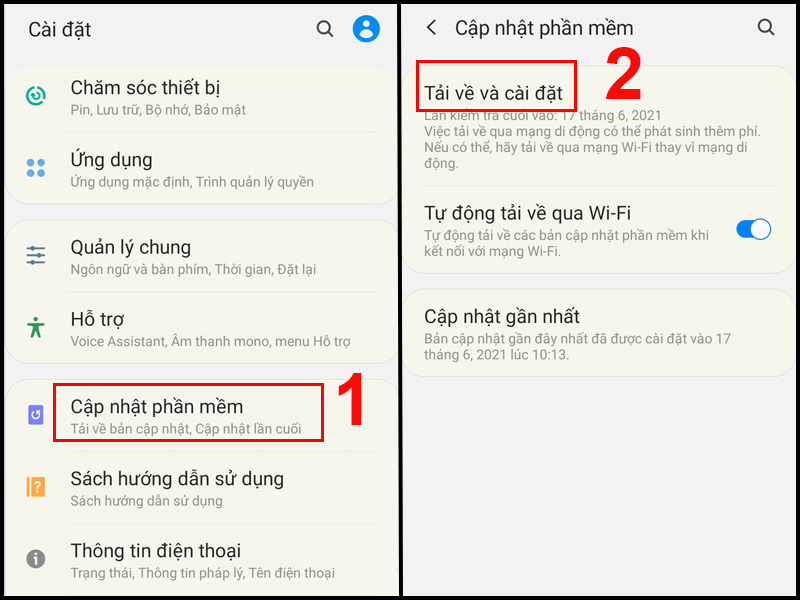 Chọn Cập nhật phần mềm rồi chọn Tải về và cài đặt
