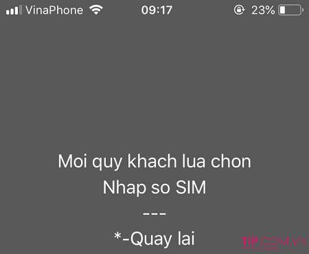 Hướng dẫn đăng ký Esim của Vinaphone nhanh nhất