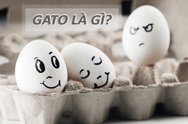 GATO là gì? GATO thường thấy trên Facebook nghĩa là gì?