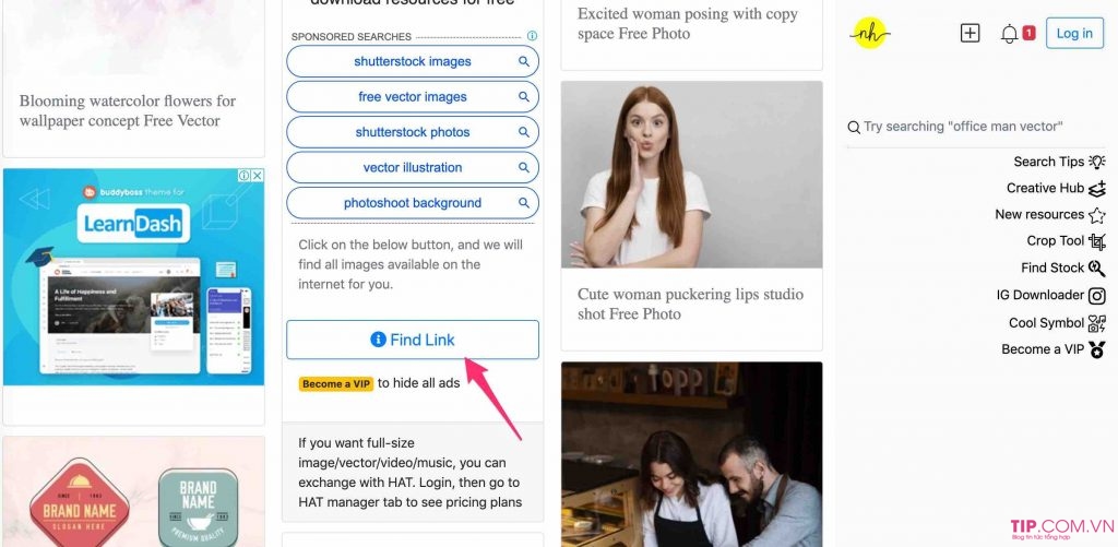 Get link Shutterstock: Cách Tải ảnh trên Shutterstock Miễn Phí 100%