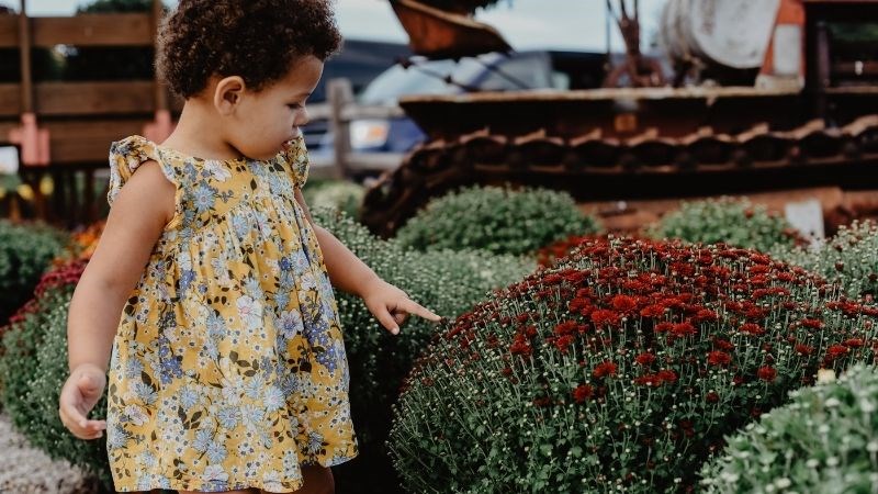 Gợi ý cách đặt tên con gái họ Văn 3 chữ Gợi ý cách đặt tên con gái họ Văn 3 chữ