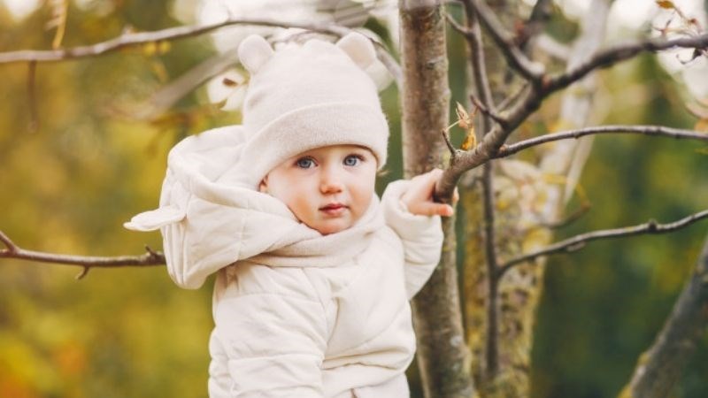 Gợi ý tên con họ Phùng 3 chữ Gợi ý tên con họ Phùng 3 chữ